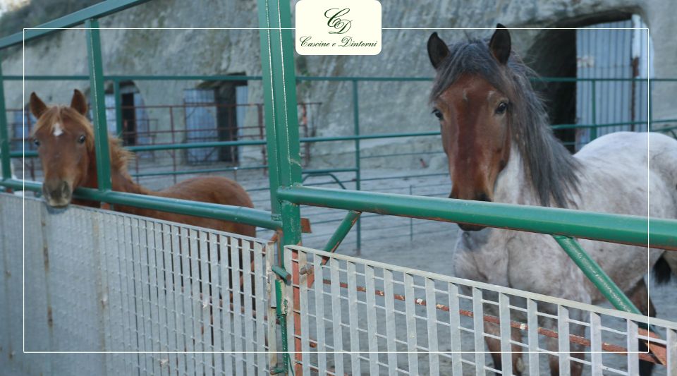 agriturismo-con-maneggio-caserta